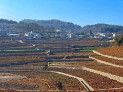 退耕还林多年：坡地变林海 生态增收两相宜